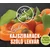 Szafi Free Kajszibarack-szőlő lekvár 350 g (gluténmentes)